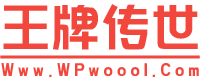 ƴ˽(WPwoool.Com)